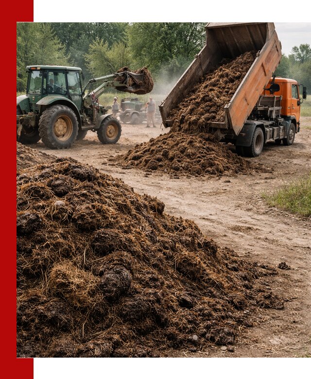 Доставка навоза самосвалами в Тобольске для сельхозпотребностей