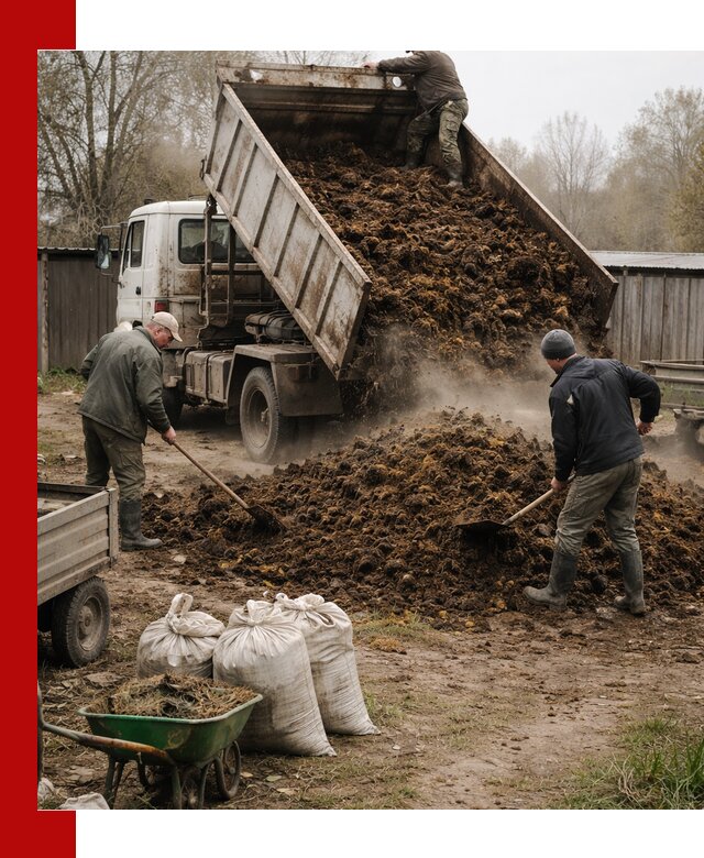 Доставка коровьего навоза самосвалом в Тобольске